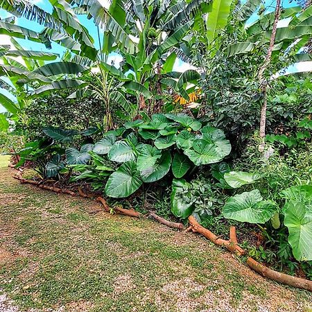 Canto Da Coruja - Ecohospedagem São Jorge Extérieur photo